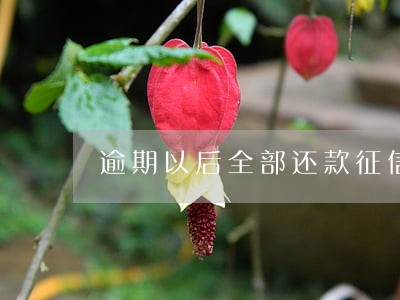 逾期以后全部还款征信多久能恢复 逾期以后全部还款征信多久能恢复