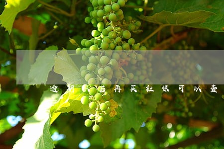 逾期以后再买社保可以查询吗 逾期以后再买社保可以查询吗