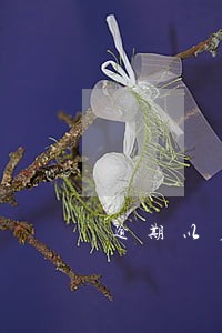 逾期以后可以换电话吗