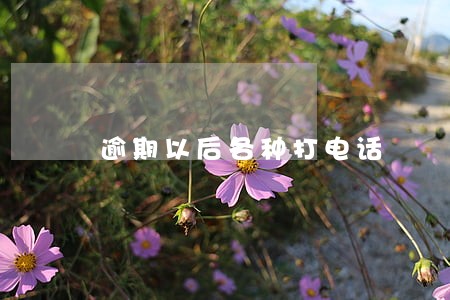 逾期以后各种打电话 逾期以后各种打电话