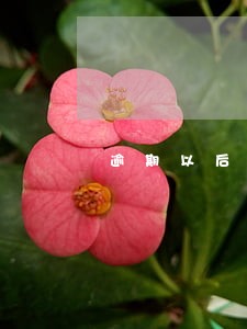 逾期以后好多短信验证码 逾期以后好多短信验证码