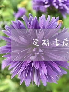 逾期以后如何借款 逾期以后如何借款
