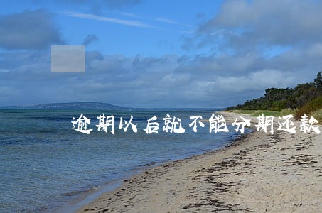 逾期以后就不能分期还款了吗 逾期以后就不能分期还款了吗