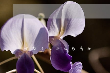 逾期以后征信能消除 逾期以后征信能消除