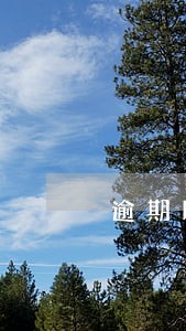 逾期以后律师函如何退回