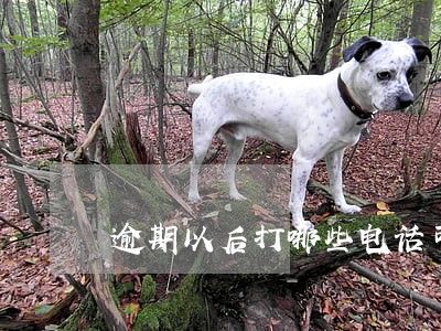 逾期以后打哪些电话可以停息