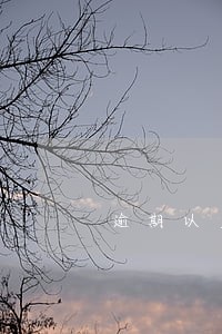 逾期以后把钱还了征信能恢复吗
