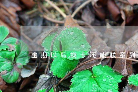 逾期以后换卡还能联系到吗