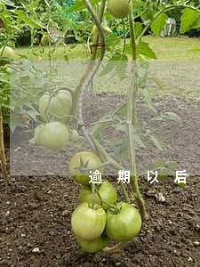 逾期以后换工作怎么找到的 逾期以后换工作怎么找到的