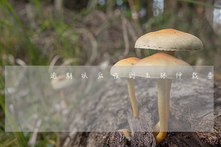 逾期以后收到玉林仲裁委短信 逾期以后收到玉林仲裁委短信