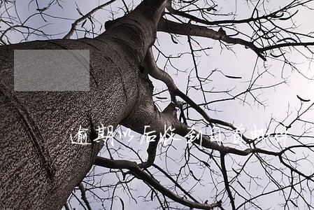 逾期以后收到自首邮件