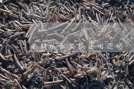 逾期以后欠款还用还吗 逾期以后欠款还用还吗