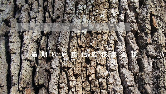 逾期以后电话应该怎么接 逾期以后电话应该怎么接