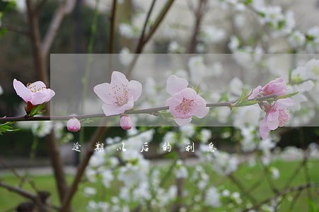 逾期以后的利息 逾期以后的利息