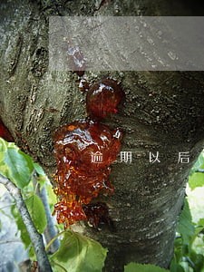 逾期以后的协商套路 逾期以后的协商套路