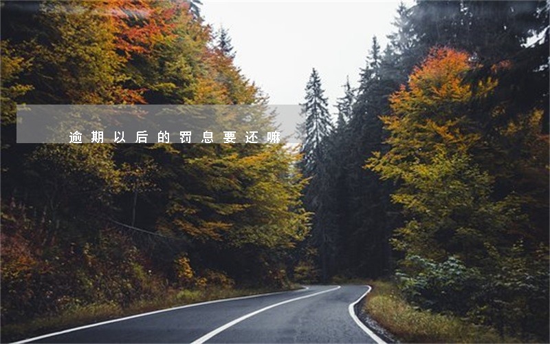逾期以后的罚息要还嘛 逾期以后的罚息要还嘛