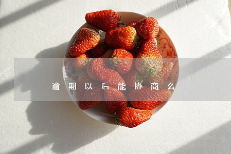 逾期以后能协商么