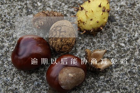 逾期以后能协商减免吗