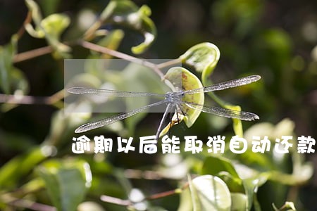 逾期以后能取消自动还款吗 逾期以后能取消自动还款吗