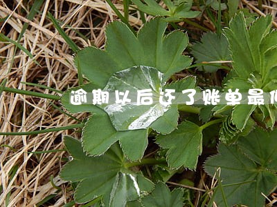 逾期以后还了账单最低还款
