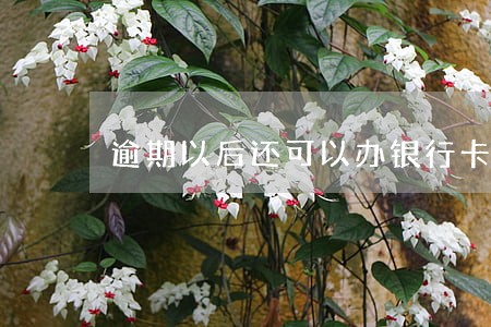 逾期以后还可以办银行卡吗 逾期以后还可以办银行卡吗