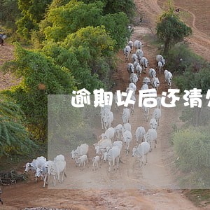 逾期以后还清欠款出行还会限制 逾期以后还清欠款出行还会限制