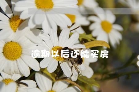 逾期以后还能买房 逾期以后还能买房