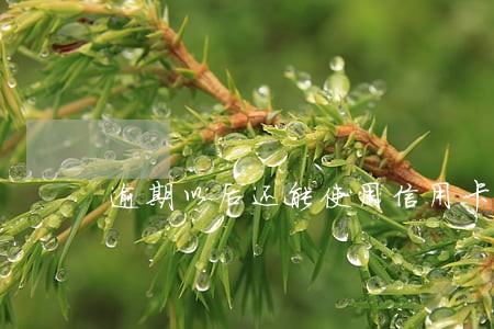 逾期以后还能使用信用卡吗 逾期以后还能使用信用卡吗