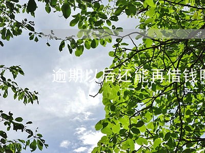 逾期以后还能再借钱吗 逾期以后还能再借钱吗