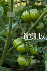 逾期以后还能还款吗 逾期以后还能还款吗