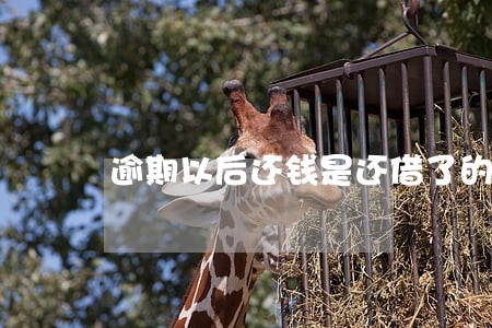 逾期以后还钱是还借了的额度吗 逾期以后还钱是还借了的额度吗
