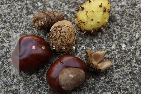 逾期以后适当还部分本金 逾期以后适当还部分本金