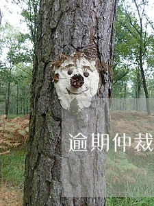 逾期仲裁中心发来短信是干什么的 逾期仲裁中心发来短信是干什么的