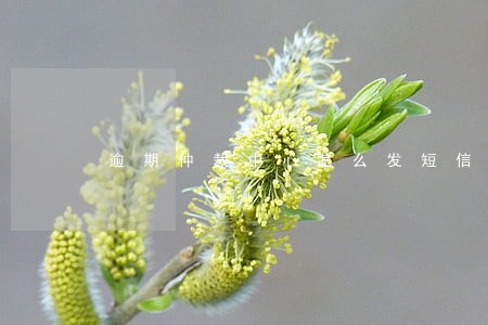 逾期仲裁中心怎么发短信告诉你 逾期仲裁中心怎么发短信告诉你
