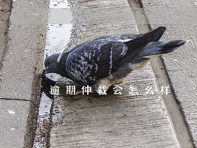 逾期仲裁会怎么样 逾期仲裁会怎么样