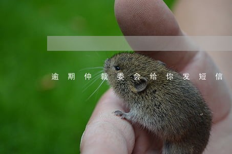逾期仲裁委会给你发短信吗 逾期仲裁委会给你发短信吗