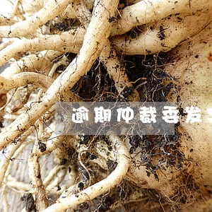 逾期仲裁委发案例警示 逾期仲裁委发案例警示