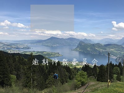 逾期仲裁委员会