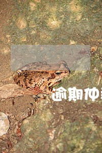 逾期仲裁平台电话 逾期仲裁平台电话