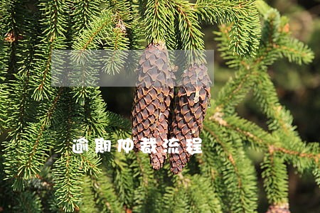 逾期仲裁流程