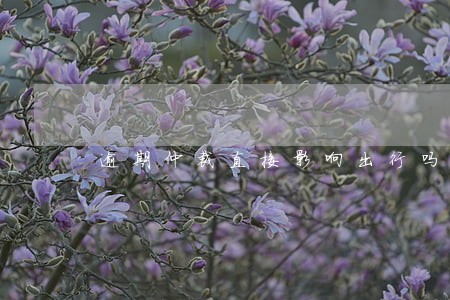 逾期仲裁直接影响出行吗 逾期仲裁直接影响出行吗