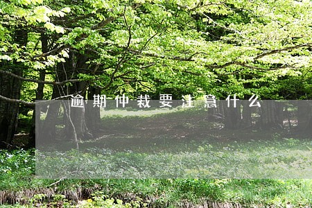 逾期仲裁要注意什么 逾期仲裁要注意什么