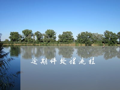 逾期件处理流程 逾期件处理流程