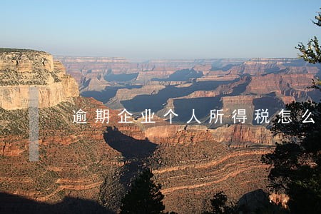 逾期企业个人所得税怎么申报 逾期企业个人所得税怎么申报