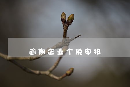 逾期企业个税申报 逾期企业个税申报