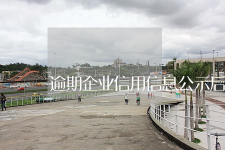 逾期企业信用信息公示后果 逾期企业信用信息公示后果