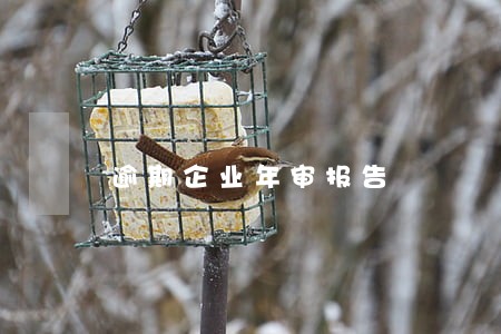 逾期企业年审报告 逾期企业年审报告