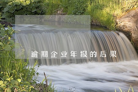 逾期企业年报的后果