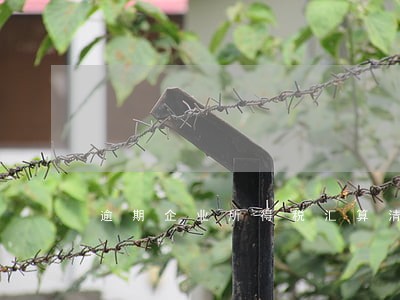 逾期企业所得税汇算清缴 逾期企业所得税汇算清缴
