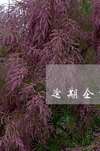 逾期企业没有任何损失 逾期企业没有任何损失